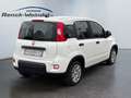 Fiat New Panda 1.0 DAB Spurhalteass. Verkehrszeichenerk. Notbrems Weiß - thumbnail 5