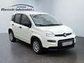 Fiat New Panda 1.0 DAB Spurhalteass. Verkehrszeichenerk. Notbrems Weiß - thumbnail 7