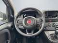 Fiat New Panda 1.0 DAB Spurhalteass. Verkehrszeichenerk. Notbrems Weiß - thumbnail 12
