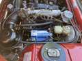 Peugeot 504 504 cabriolet automaat, stuurbekrachtiging Rot - thumbnail 30