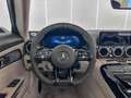 Mercedes-Benz AMG GT GT AMG R Roadster 4.0 Limited Ed. 1-750 Track Pace Blau - thumbnail 13