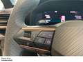 CUPRA Leon Sportstourer 2.0 TSI 245 kW VZ 4Drive VZAHK Matrix Grau - thumbnail 18