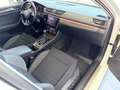 Skoda Superb Combi 2.0 TSI Scout 4x4 DSG 200kW Blanco - thumbnail 32