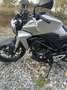 Honda CBR 300 R CB300R Argent - thumbnail 6
