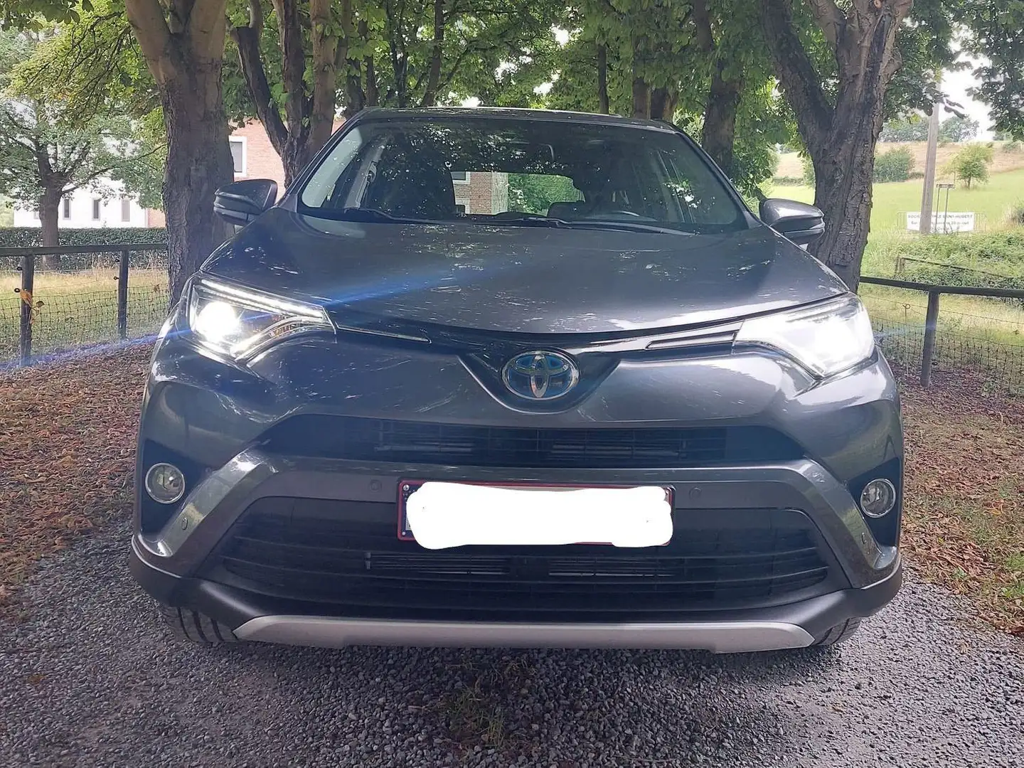 Toyota RAV 4 2.5i e-AWD Hybrid C. Grijs - 2