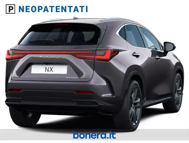 Lexus NX view 4