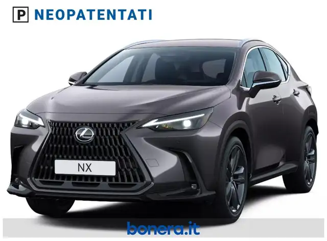 Lexus NX in Grey for sale