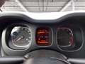 Fiat Panda 1.0 firefly hybrid Cross s&s 70cv 5p.ti Blauw - thumbnail 15