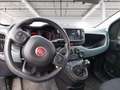 Fiat Panda 1.0 firefly hybrid Cross s&s 70cv 5p.ti Blauw - thumbnail 13