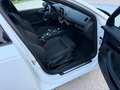 Audi A4 A4 3.0 tdi Sport quattro 272cv Matrix+Navi+B&O E6 Bianco - thumbnail 9