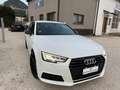 Audi A4 A4 3.0 tdi Sport quattro 272cv Matrix+Navi+B&O E6 Bianco - thumbnail 2
