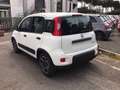 Fiat New Panda 1.0 FireFly Hybrid City Life Alb - thumbnail 2