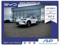 BYD Seal U Design 87KW 218PS Aut. LAGER AKTION in Vorbeste... Weiß - thumbnail 1