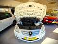 Mercedes-Benz B 180 180CDI Autotronic (9.75) Blanco - thumbnail 28