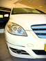 Mercedes-Benz B 180 180CDI Autotronic (9.75) Blanco - thumbnail 33