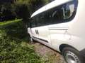 Fiat Doblo 1.4 95 ch Pop - thumbnail 9