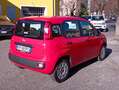 Fiat Panda Panda 1.2 Lounge 69cv Rot - thumbnail 6