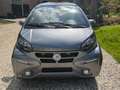 Casalini Sonstige Twist+ Automaat NL-auto 1e eigenaar #RIJKLAAR Grau - thumbnail 3