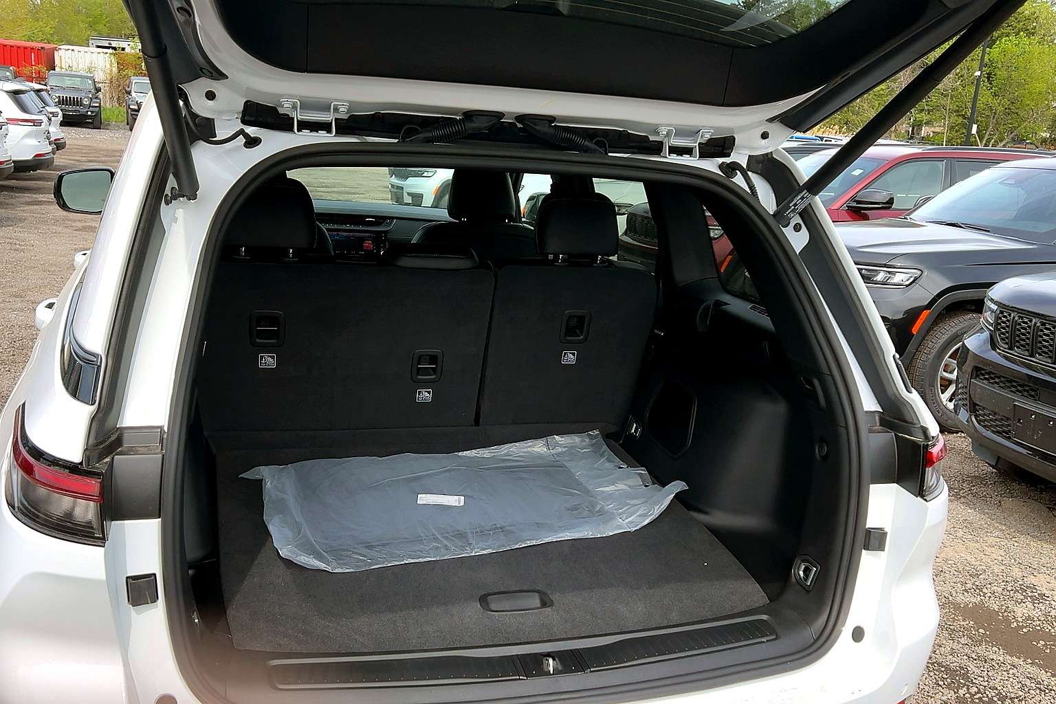 Image 5