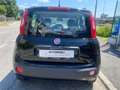 Fiat Panda 1.2 Easy NERA BENZINA EURO 6/B Nero - thumbnail 6