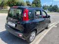 Fiat Panda 1.2 Easy NERA BENZINA EURO 6/B Nero - thumbnail 5