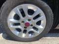 Fiat Panda 1.2 Easy NERA BENZINA EURO 6/B Nero - thumbnail 13