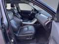 Land Rover Range Rover Evoque SE Dynamic KAM PANO LEDER XEN Grau - thumbnail 14