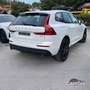 Volvo XC60 2WD Geartronic Momentum Harman-Kardon Bianco - thumbnail 4