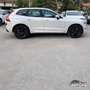 Volvo XC60 2WD Geartronic Momentum Harman-Kardon Bianco - thumbnail 2