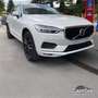 Volvo XC60 2WD Geartronic Momentum Harman-Kardon Bianco - thumbnail 6