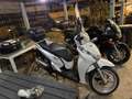 Honda SH 300 - thumbnail 4