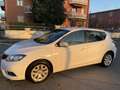 Nissan Pulsar 1.5 dci Tekna 110cv NEOPATENTATI Bianco - thumbnail 3