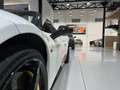 Ferrari 458 Spider Bianco - thumbnail 13