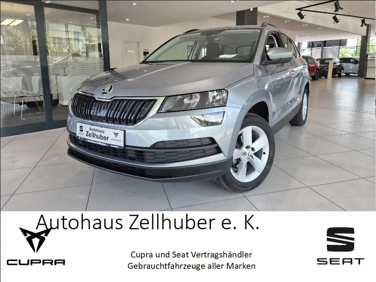 Skoda Karoq 1.0 TSI Ambition *Sitzhzg*LED*DAB+* Grau - 1
