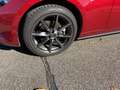 Mazda MX-5 Sports-Line Rot - thumbnail 8