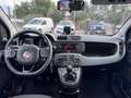 Fiat Panda 1.2 Easy s&s 69cv my19 - thumbnail 14