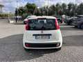 Fiat Panda 1.2 Easy s&s 69cv my19 - thumbnail 2