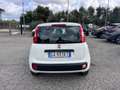 Fiat Panda 1.2 Easy s&s 69cv my19 - thumbnail 15