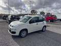 Fiat Panda 1.2 Easy s&s 69cv my19 - thumbnail 4