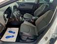 SEAT Leon TDI ST X-Perience 4Drive Weiß - thumbnail 6