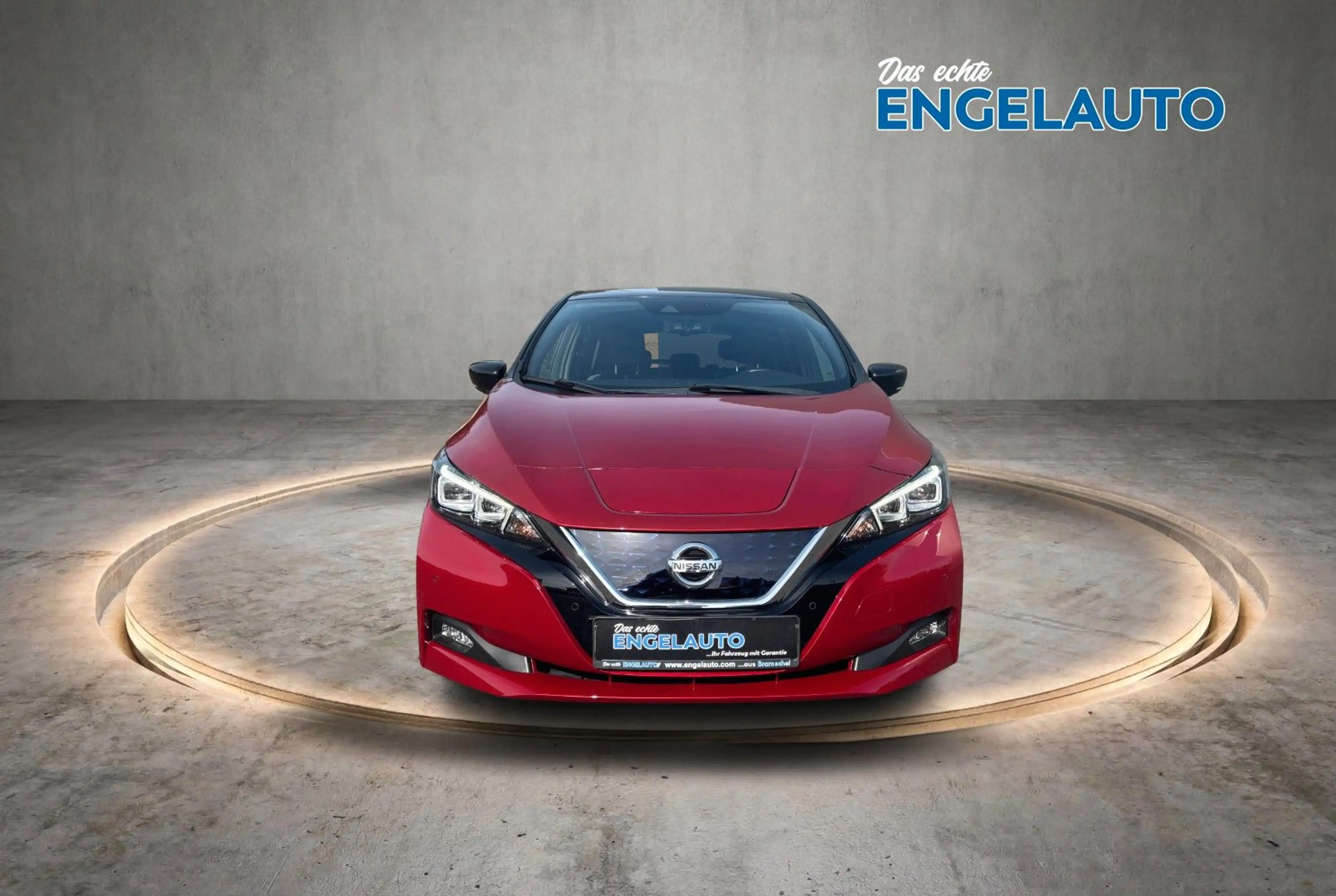 Nissan Leaf e+ Tekna 62KWh ACC 360° BOSE NAVI LEDER LED — photo 2