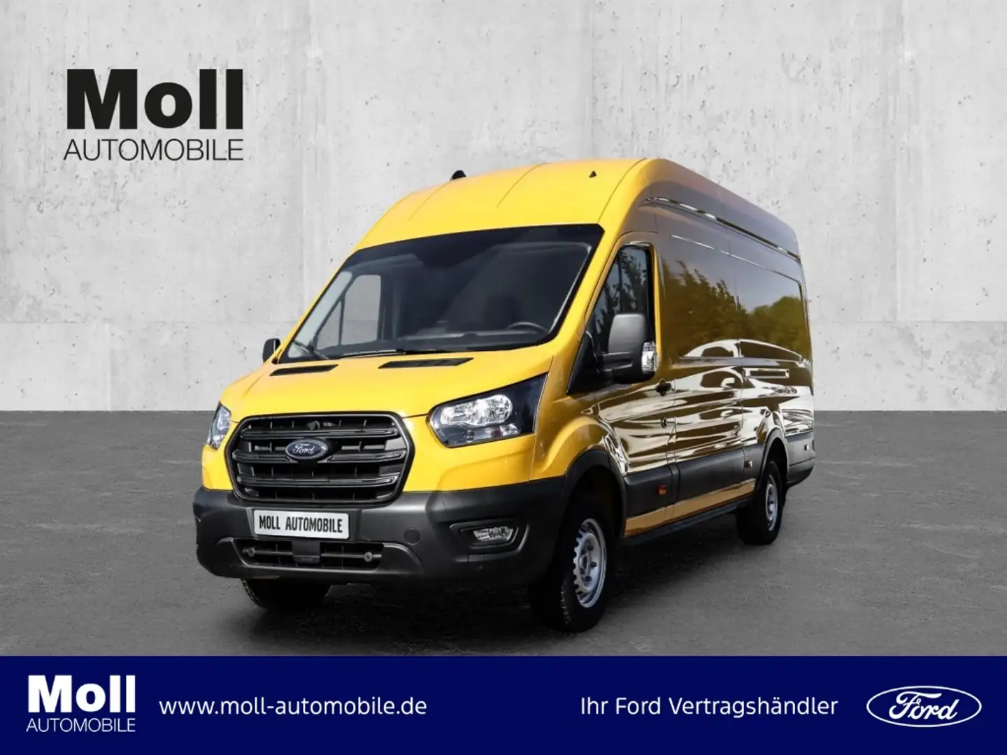Ford Transit Kasten Basis 350 L4H3 Allwetter Laderaumsc Gelb - 1