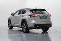Lexus NX 300 300h Premium 2WD Gris - thumbnail 9