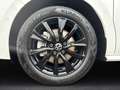 Volkswagen T7 Multivan 2.0 TDI DSG Edition lang AHK-klappbar Panorama Nav Білий - thumbnail 7