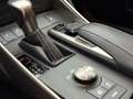 Lexus IS 300 300h Hybrid Business Line Safety-pack Luxery-pack Grijs - thumbnail 24