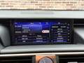 Lexus IS 300 300h Hybrid Business Line Safety-pack Luxery-pack Grijs - thumbnail 17
