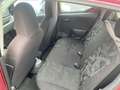 Suzuki Alto Alto 1.0 Basic TÜV NEU Rot - thumbnail 8