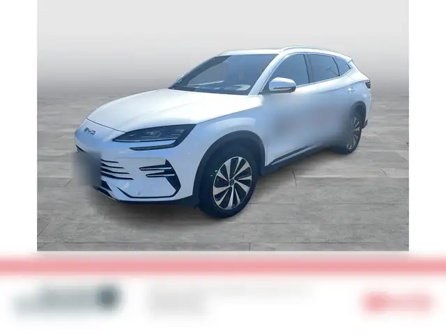 BYD Sonstige