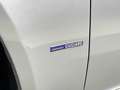 Alfa Romeo 159 1750 TBi Sportwagon 200cv Grigio - thumbnail 36