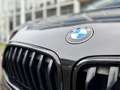 BMW X2 X2 sDrive20i High Executive Msport I Panorama I Le Noir - thumbnail 16